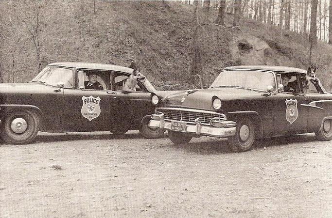 k 9 19569