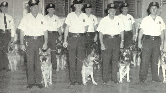 dogs forweb