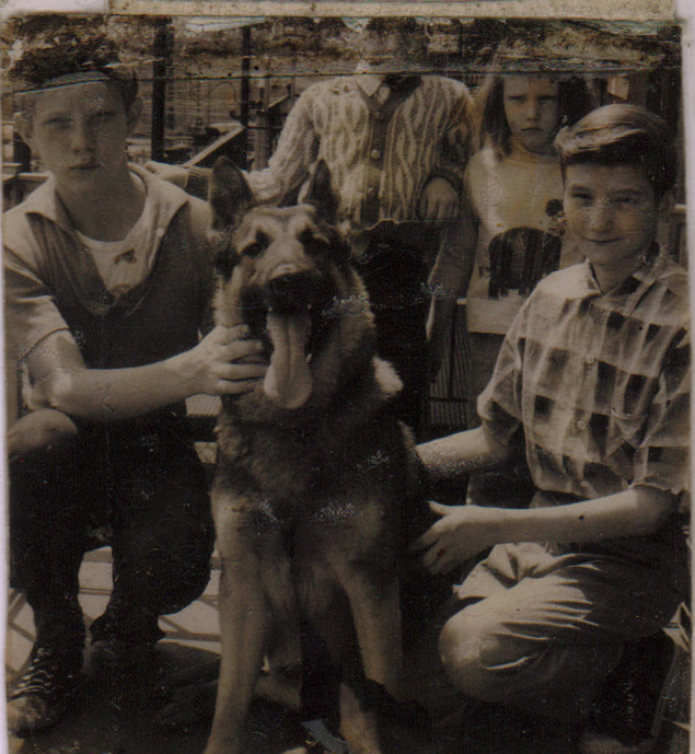 K9 work dog family