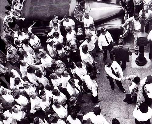 Sig31 Nurse