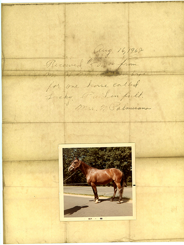 34img025