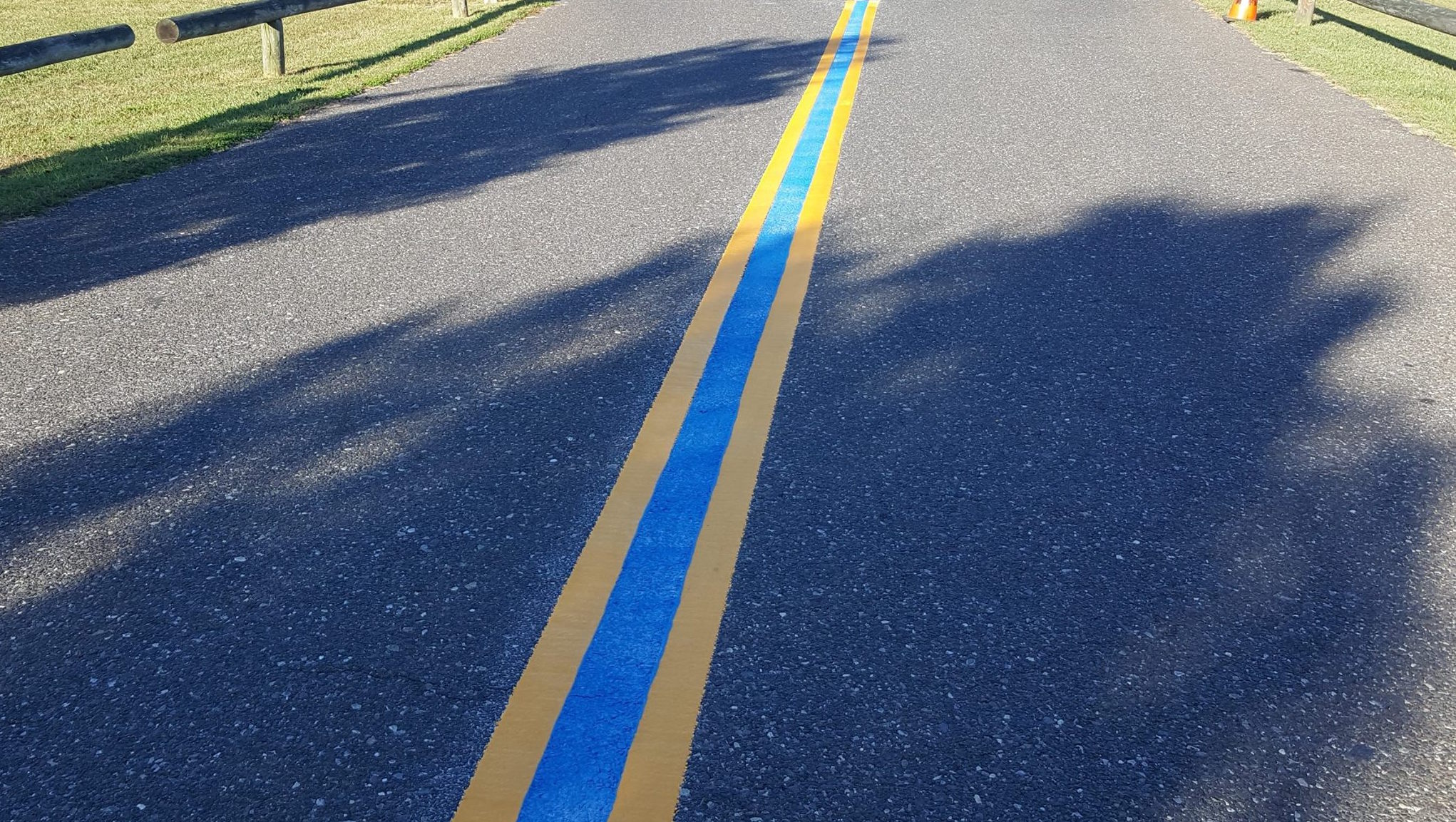 blueline 1